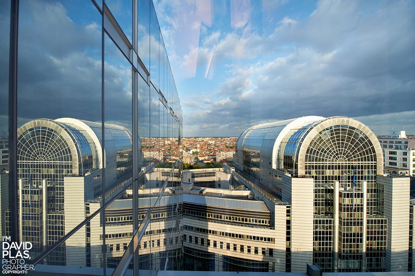 DPL_6078 1.jpg